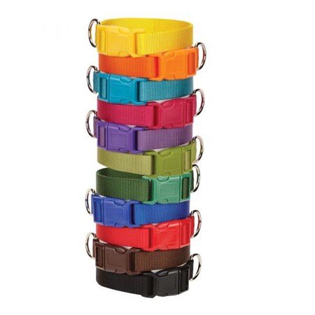 Party Animal 10-16 in. Wide Nylon Dog Collar Fits Necks, Brown PA1665854